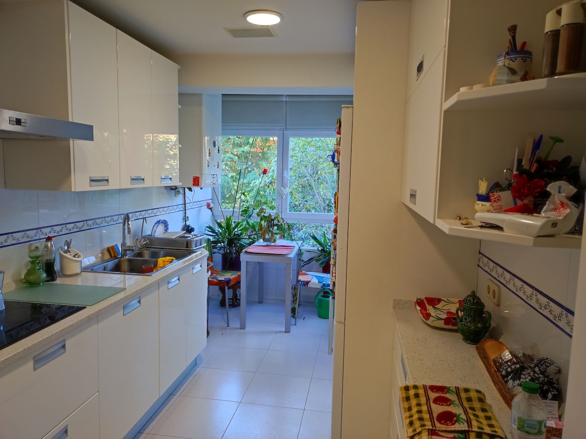 A well-lit kitchen features sleek white cabinetry and modern appliances. A small dining table is surrounded by potted plants, visible through large windows that provide natural light. Various kitchen items are neatly arranged on countertops, highlighting a functional and organized space.