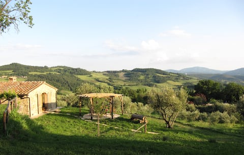 The pomegranate, Podere il Giglio