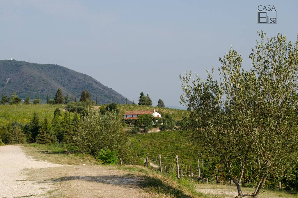 Immersa nel verde