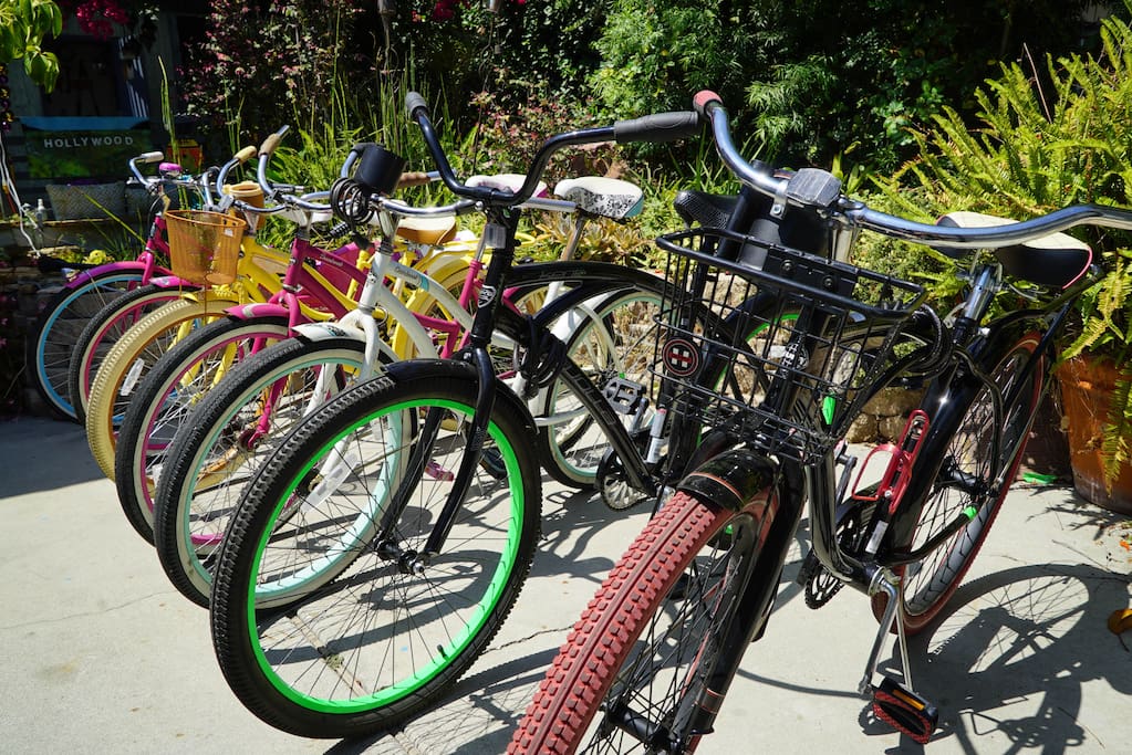 The coolest beach cruisers you will see in Venice!