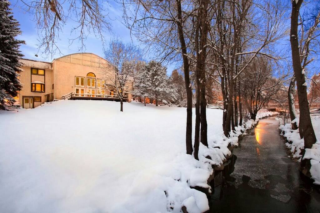 Backyard in winter.