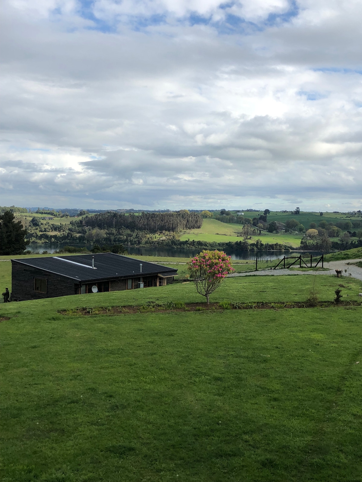 A tranquil landscape features a cozy house with a dark roof, set against a backdrop of rolling green hills. A solitary flowering shrub adds a pop of color to the foreground, while dramatic skies loom above, hinting at an expansive natural environment.