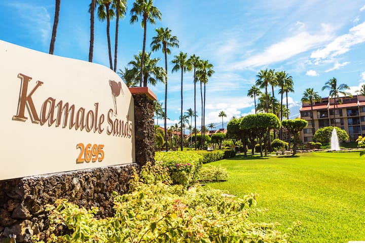 Beautiful 2Bed/2Bath | Ocean View | Steps to Beach