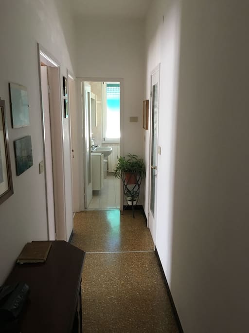 ingresso