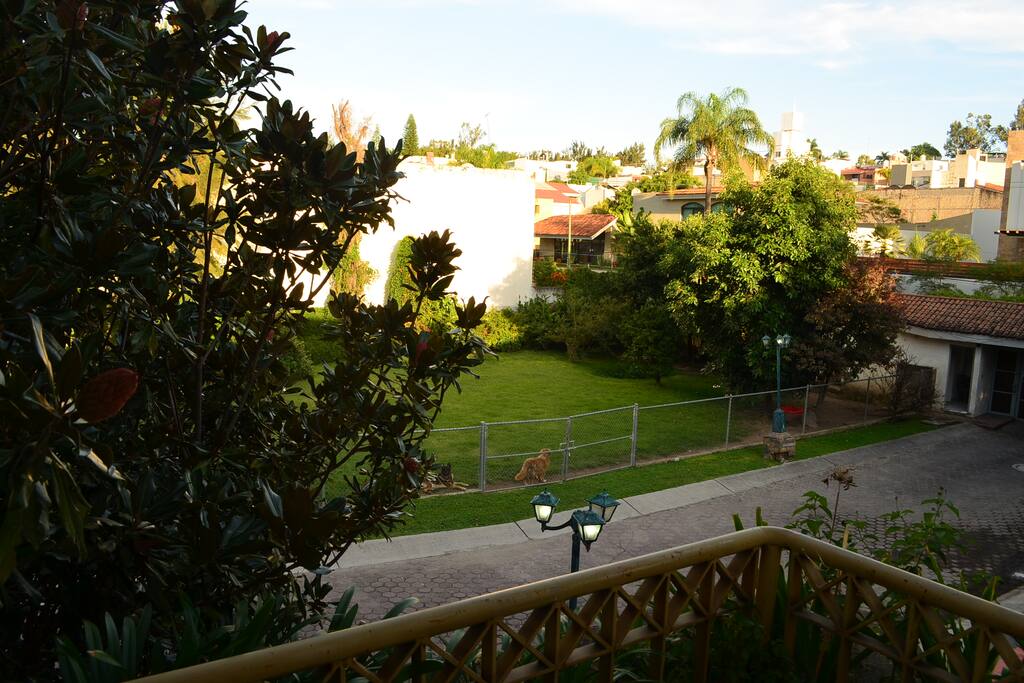 Vista desde la habitación