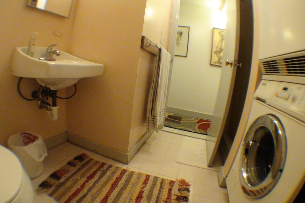 Bathroom with shower and Miele washer/dryer.