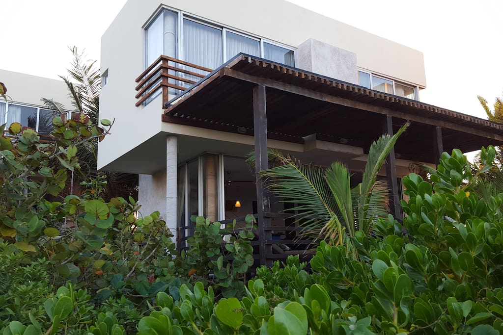 La casa esta rodeada de vegetación propia de la región.