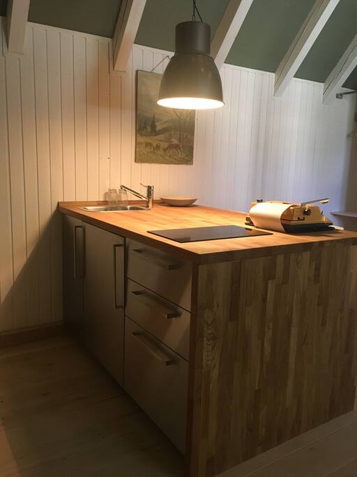 Küchenblock mit Induktionsherd und Kühlschrank