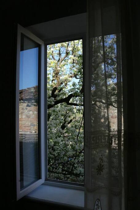 view from the room