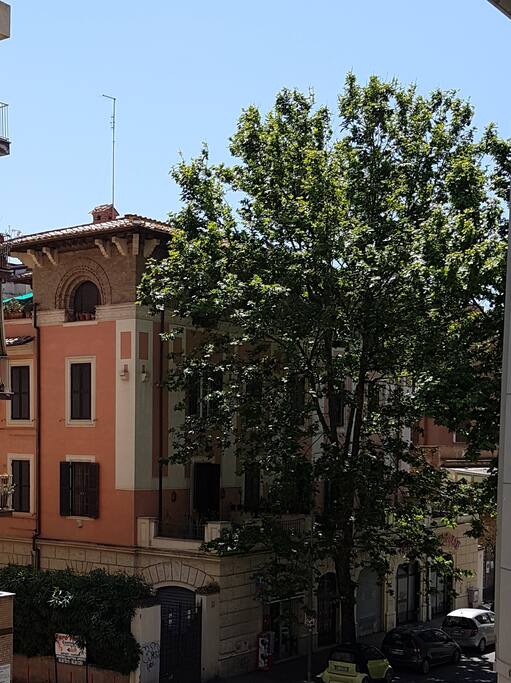 vista dalla finestra