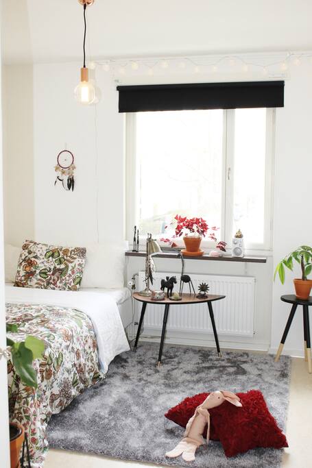 Room (1).