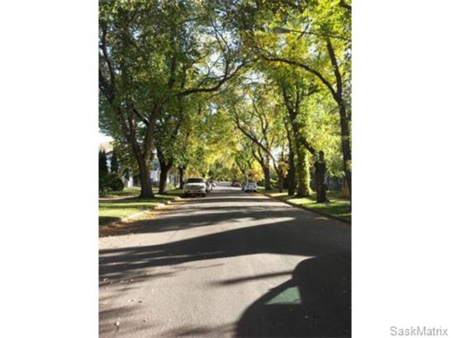 My street