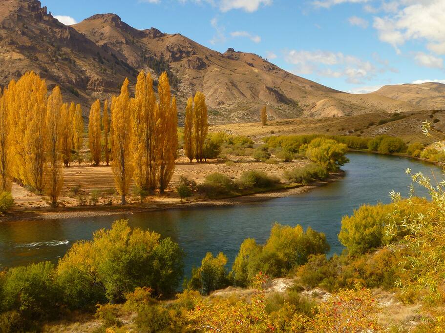 Los colores del otoño sobre el rio Ñirihuau a no mas de 900 mtsde los departamentos