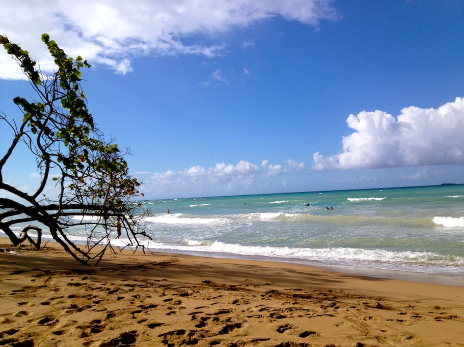 Looking north towards Punta Bonita. You can walk for miles on the beach.