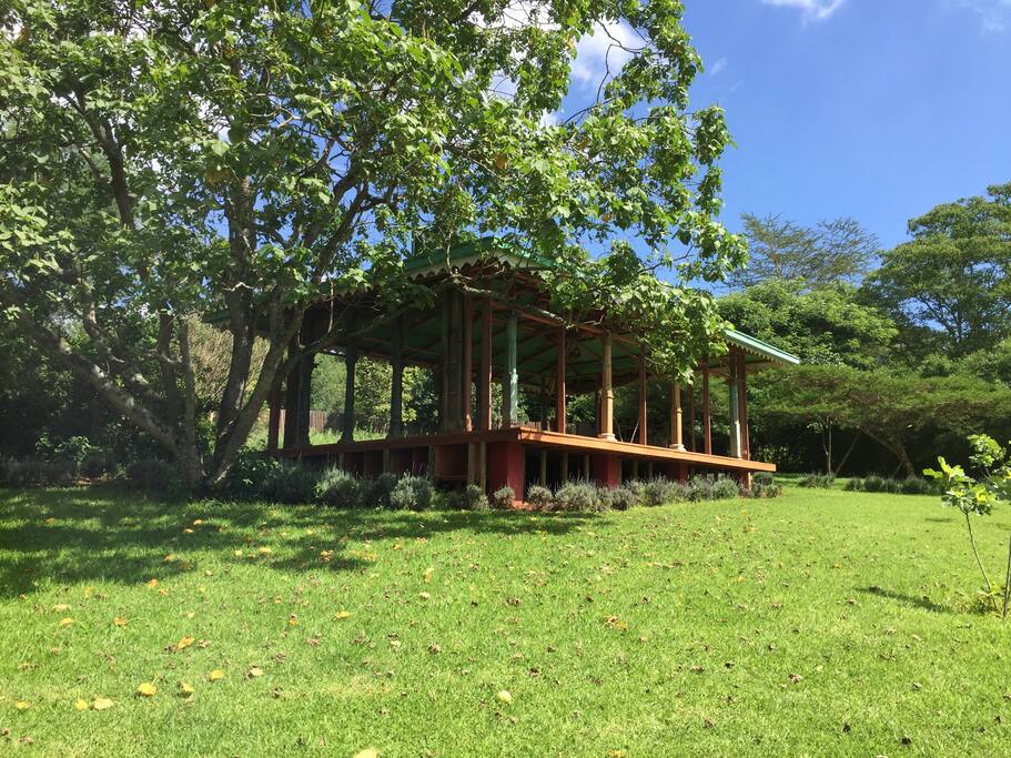 Outdoor Yoga Studio