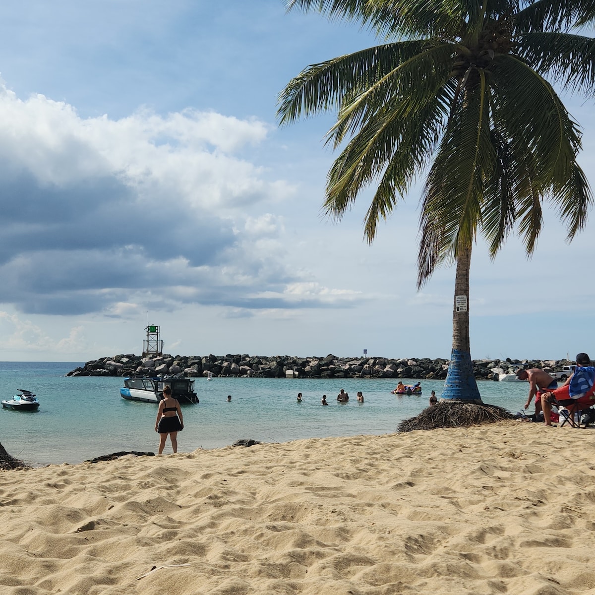 A sandy beach scene is depicted with a palm tree framing the right side. In the distance, calm waters are visible, where individuals engage in activities near a rocky jetty. Watercraft are seen approaching, while beachgoers enjoy the shoreline.