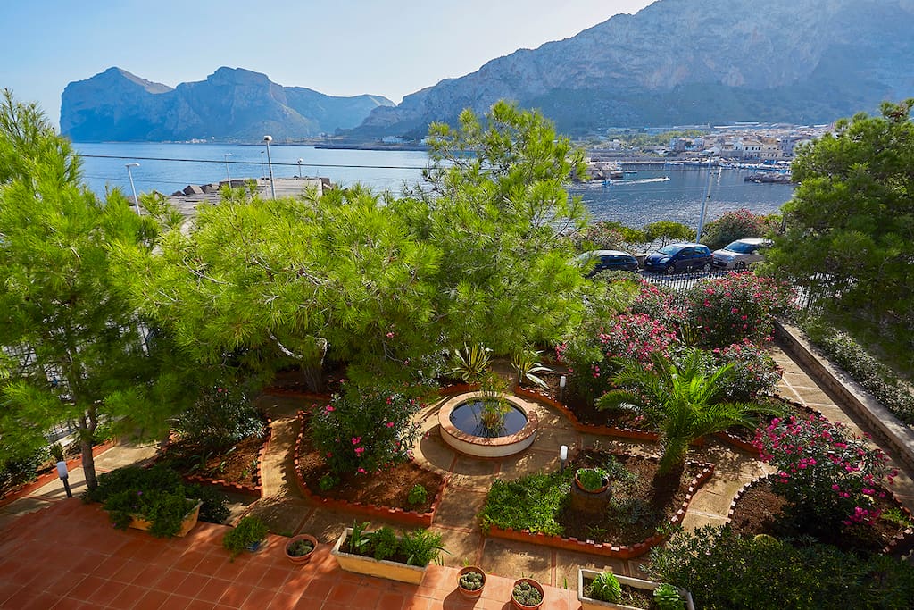 View of the garden from the roof terrace