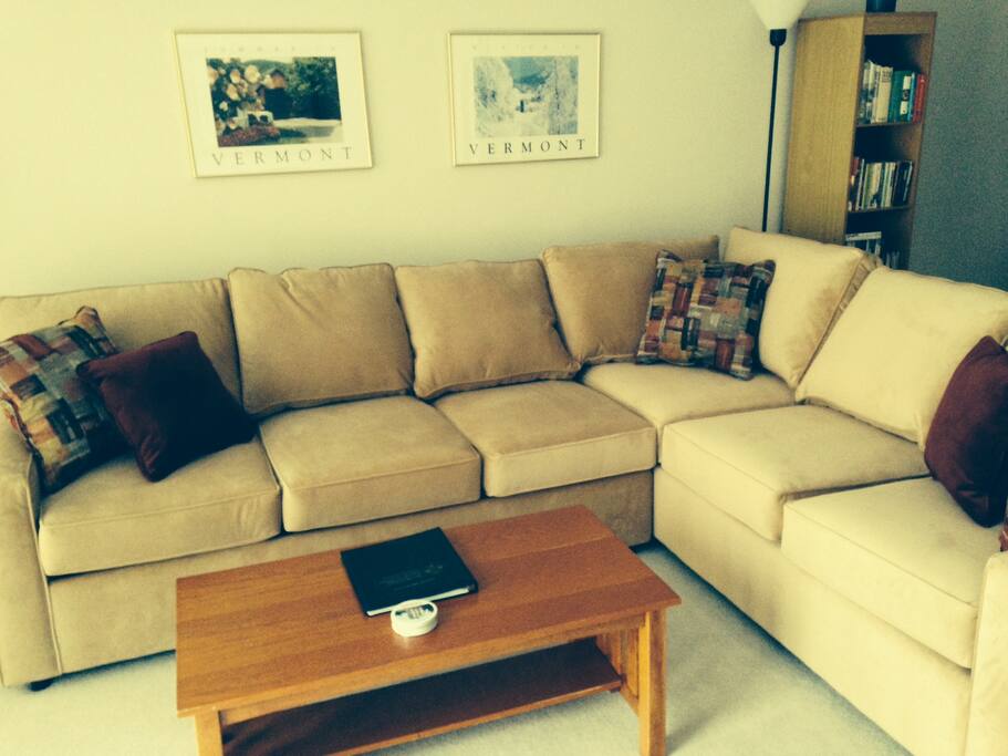 sectional sofa including queen sofa bed in living room