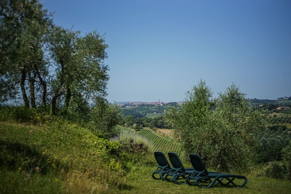 Your utterly private Siena look-out sundeck chairs