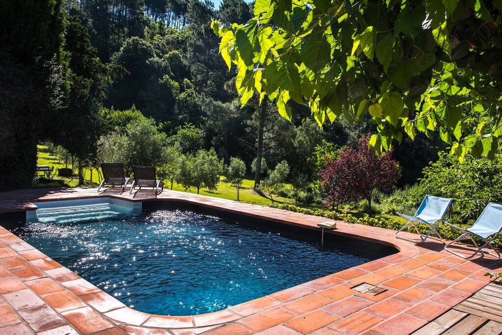 Petit matin d'été près de la piscine.