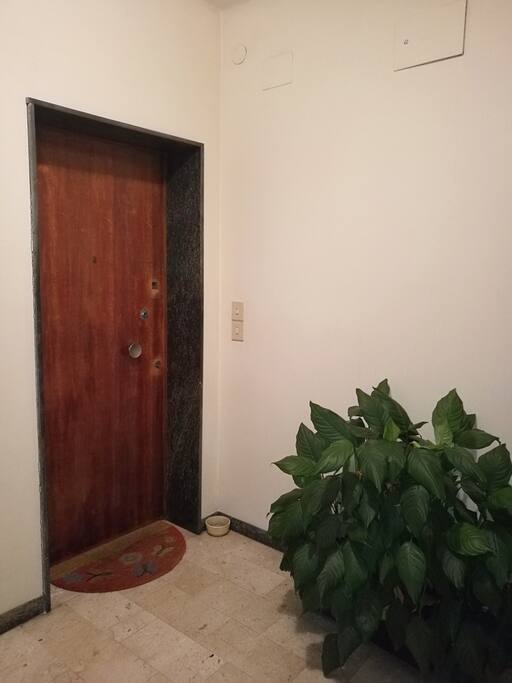 Portone interno di ingresso all'appartamento