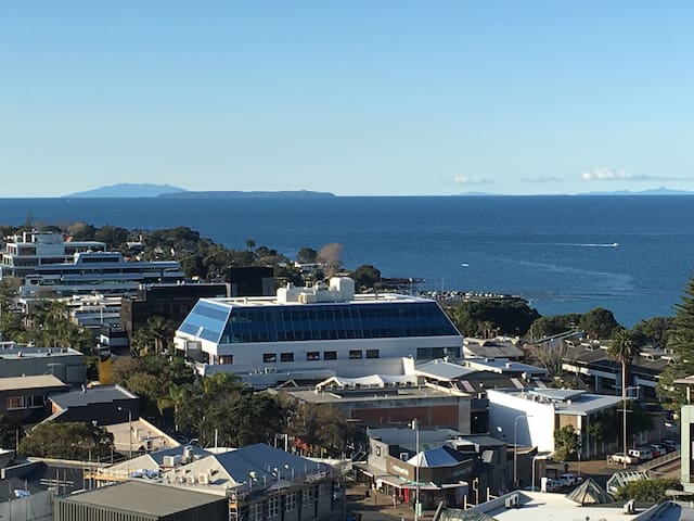 Amazing 11th floor, Spencer on Byron in Takapuna