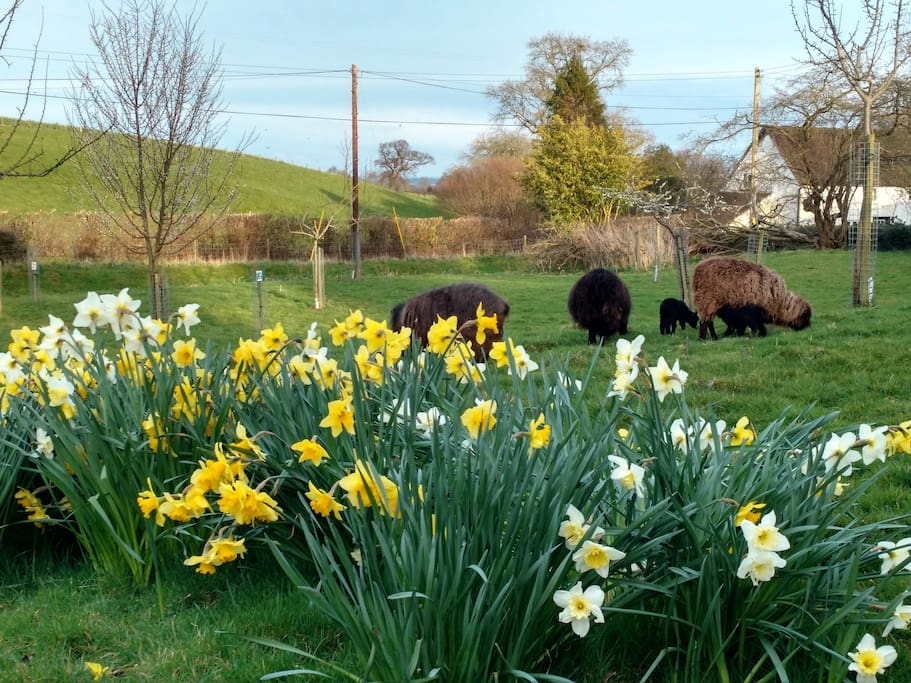 Spring at Keirles