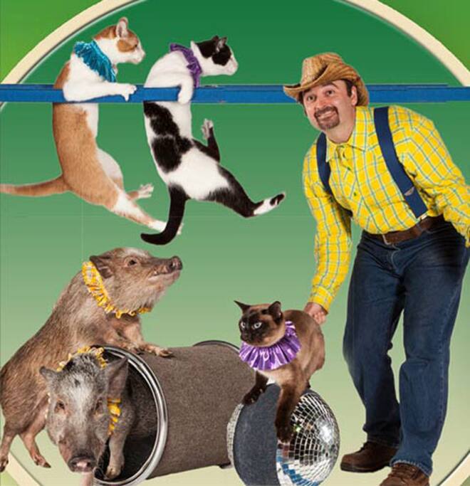 Mountain Fun-Amazing Animals Exotic Animal & Pet Show
