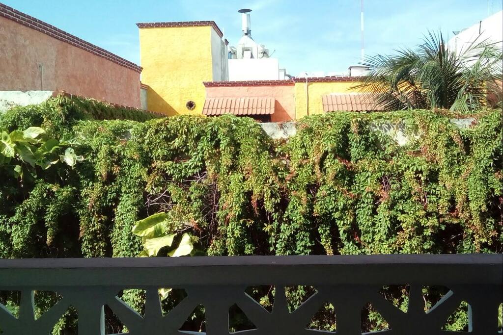 View from Balcony