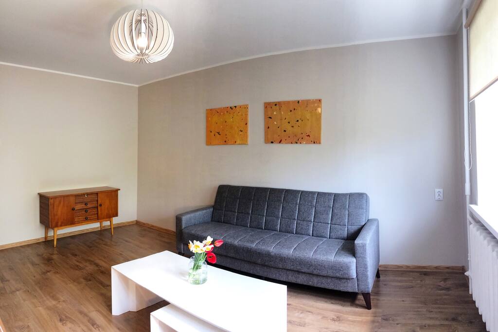 Living room with sofa bed