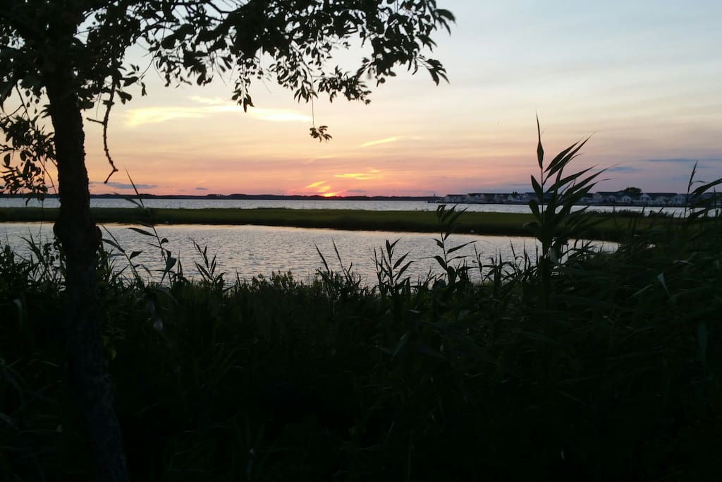 North Side Park Bay