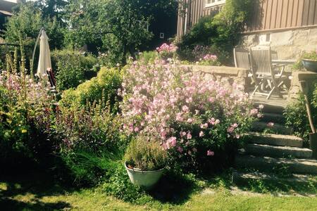 An oasis in central Göteborg 2