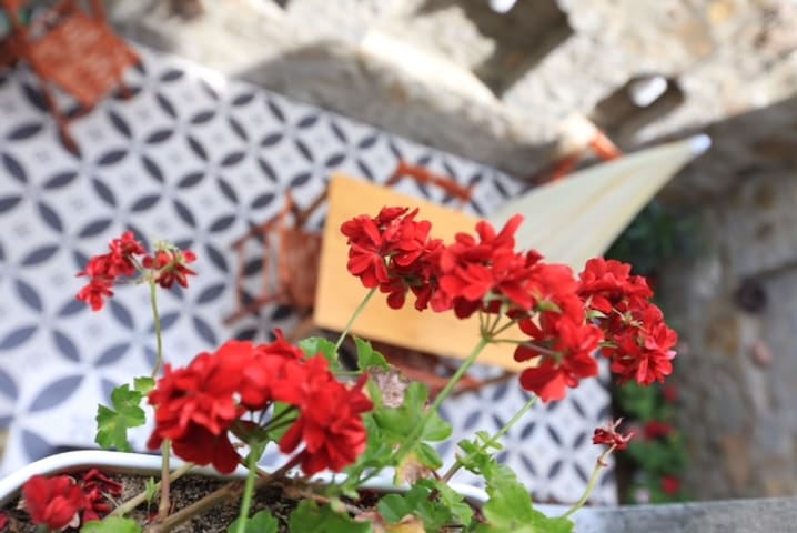 Airbnb Canakkale Ferienwohnungen Unterkunfte
