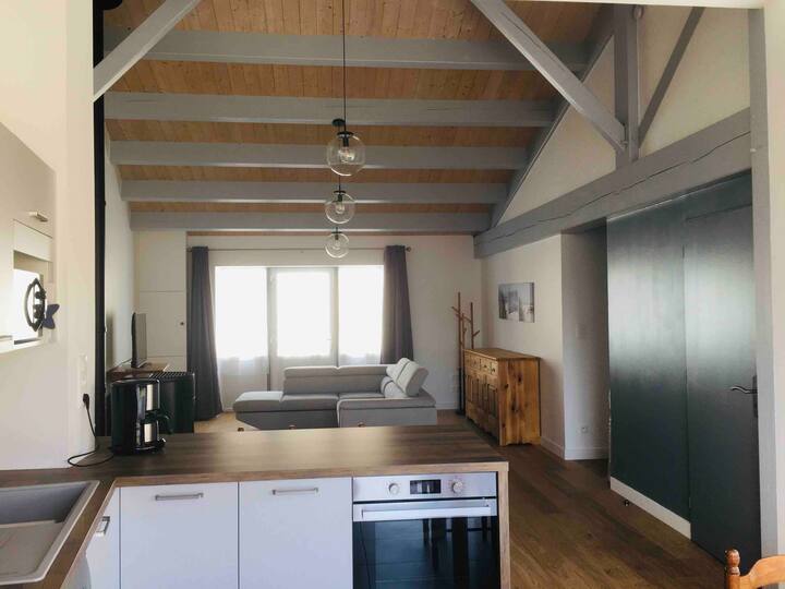 Luzac/maison 6-8p/spa/cœur Marais/15min Plage - Département Charente-Maritime