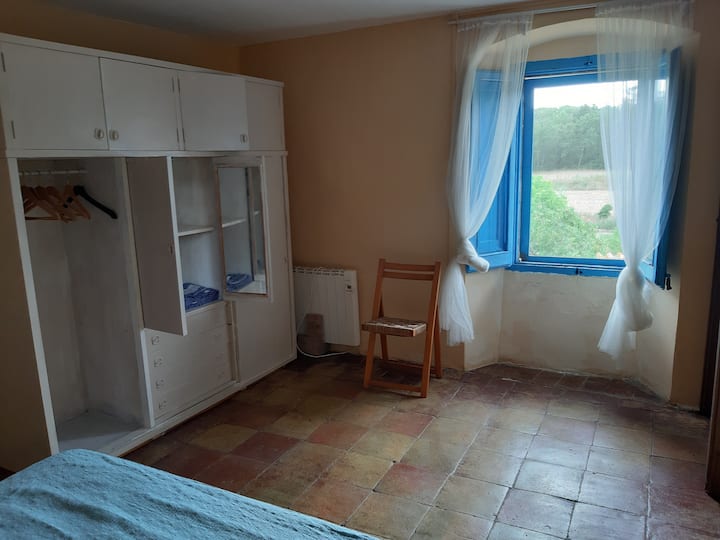 Maelezo : Chumba maradufu kilicho na mwonekano wa msitu