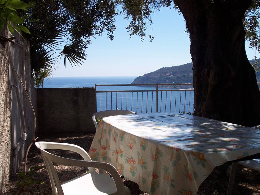 Le coin jardin avec vue sur la mer