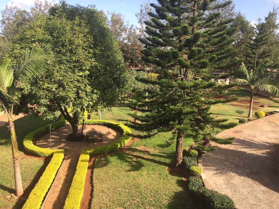 Mature garden which best serves as a garden wedding venue