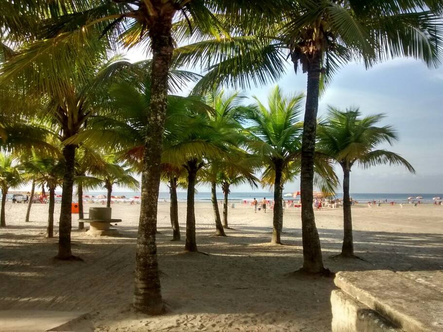 SOMBRA E ÁGUA FRESCA