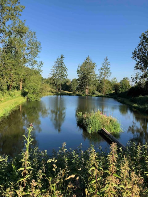 Cottage, fishing ponds, hot tub and pool