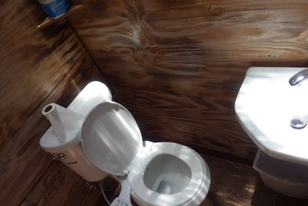 Private Bathroom and Shower