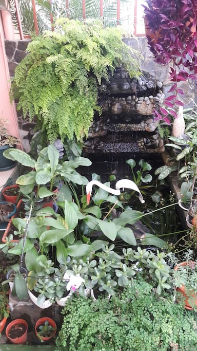 Fuente de peces a la entrada de la casa.