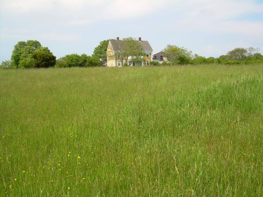 MUCH PRIVACY-5 acres in the midst of a 100 acre field