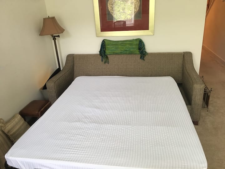 Commercial/Hotel Style Sofa Bed 1 of 2