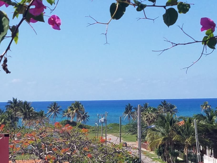 Terraza vistas al mar