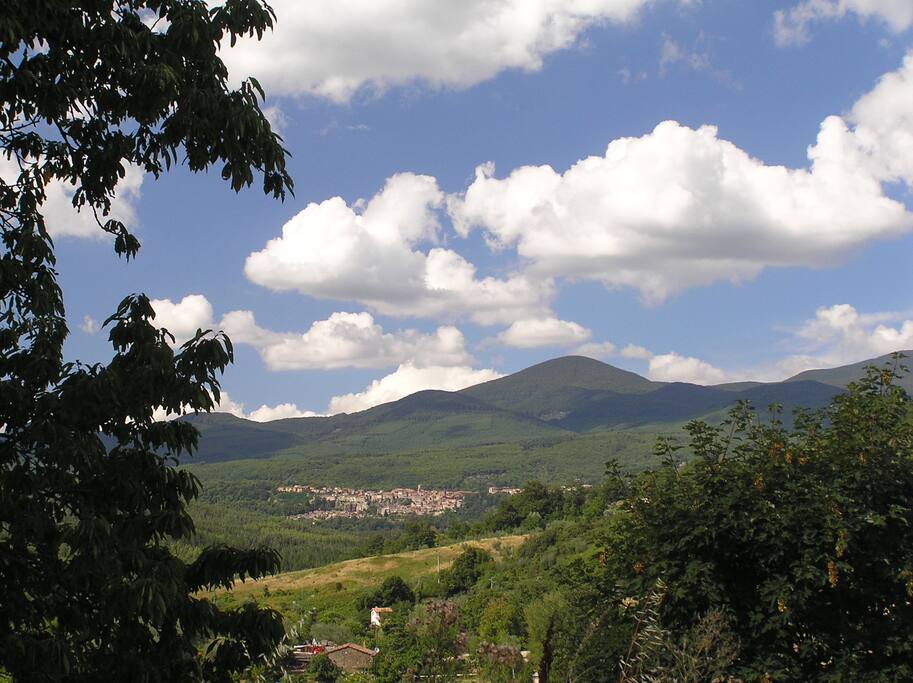 la vista su Monte Amiata e Santa Fiora