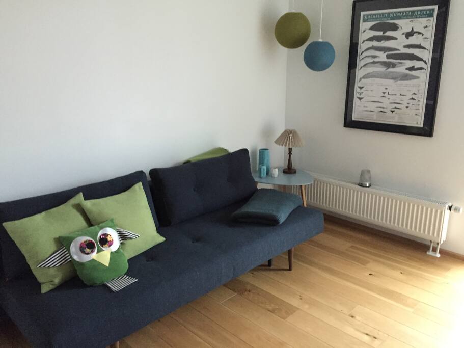 Værelse der udlejes. 1 1/2 mands sovesofa/the room you will rent with comfortable sofa bed (1 1/2 bed in size)