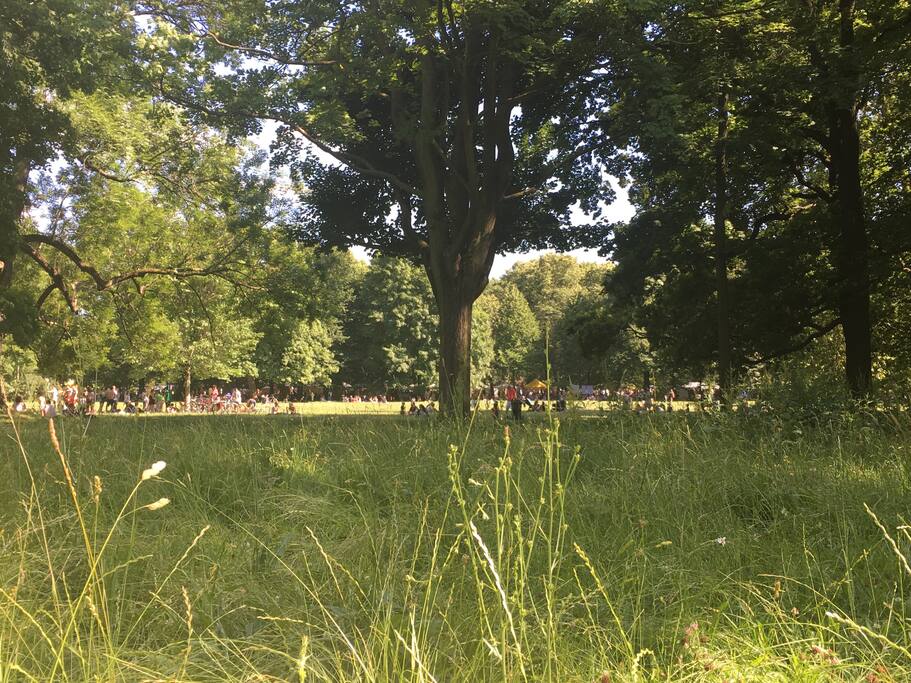 Clara-Zetkin-Park