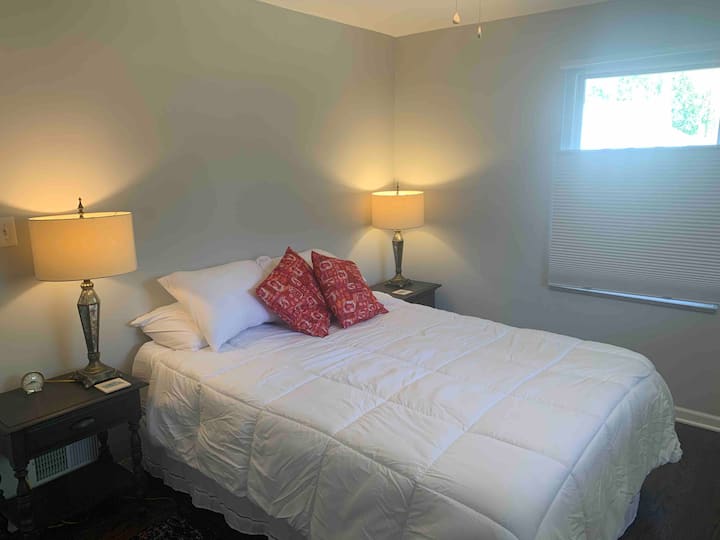 Главна спална соба со телевизор со брачен кревет (широк 150-179 см)