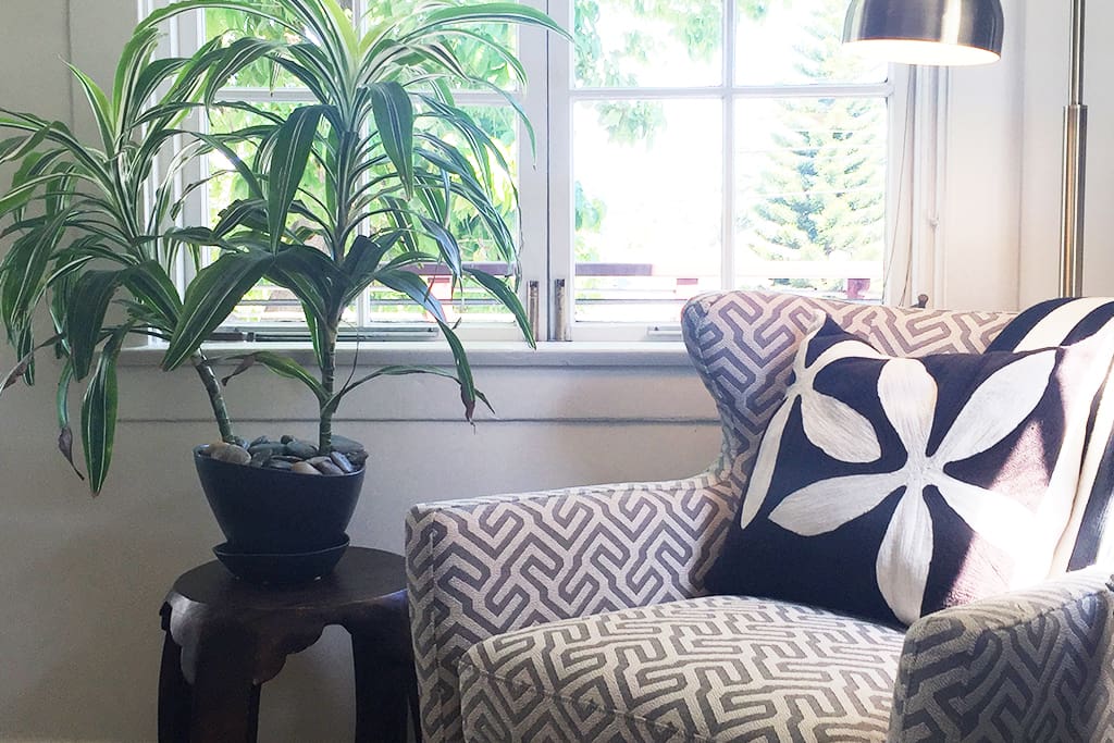 Comfortable, open, modern design, hardwood floors, and designer decor.