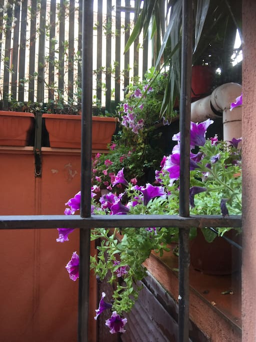 View from the kitchen